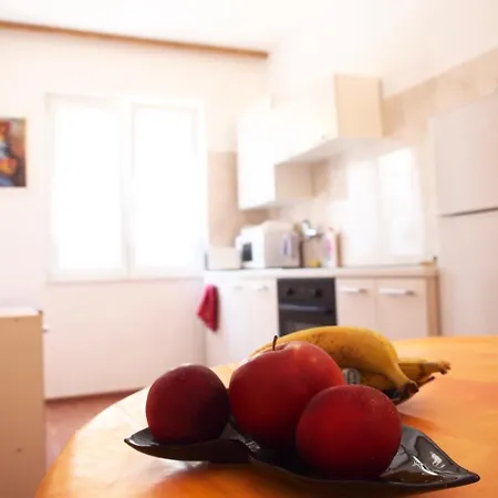 Doris * 트로기르