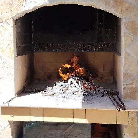 Doris * 트로기르