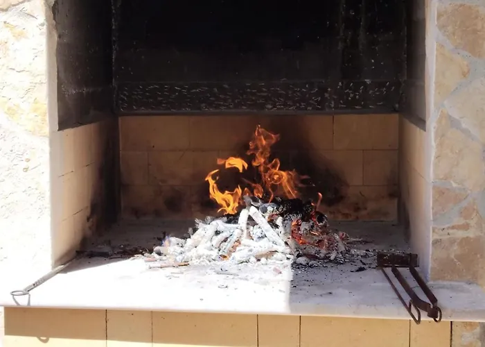 Doris * 特罗吉尔